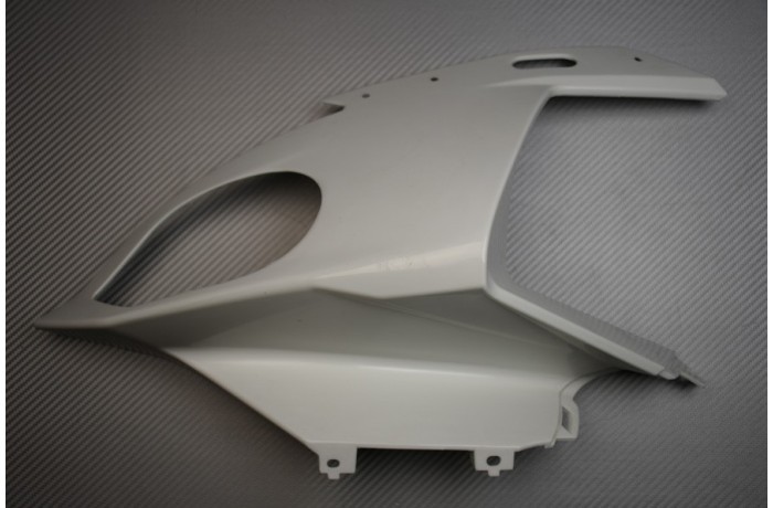 Carénage tête de fourche gauche BMW S1000RR 2R10 2015-2018