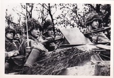 Heinz Nowarra Foto Real Segunda Guerra Mundial Alemán SDKFZ 251 SEMIPISTA Y GRANADEROS PANZER 293