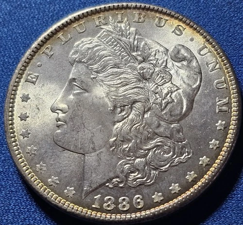A 1886-P Choice BU Morgan Silver Dollar