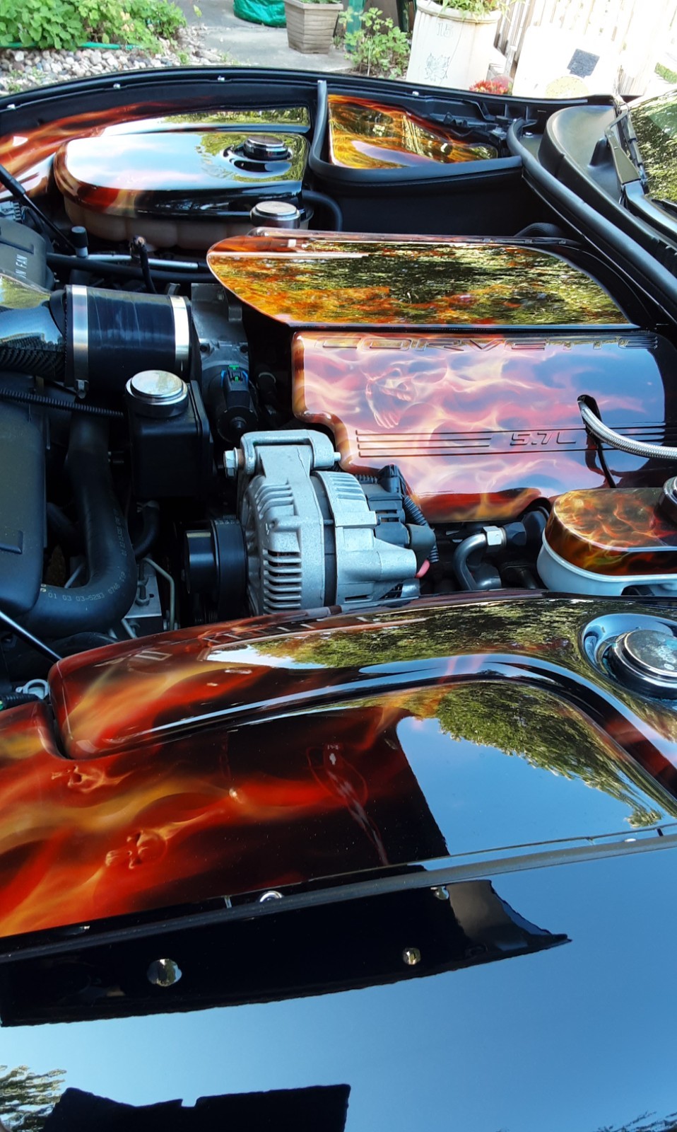 2003 Black Chevrolet Corvette   | C5 Corvette Photo 5