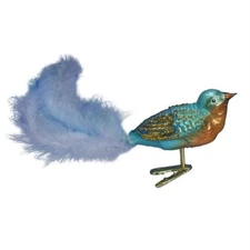 Old World Christmas Forest Finch Glass Tree Ornament FREE BOX 18010