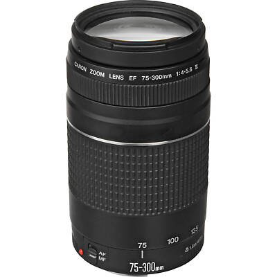 Canon EF 75-300mm f/4-5.6 III Lens (Black) + Telephoto and Wide