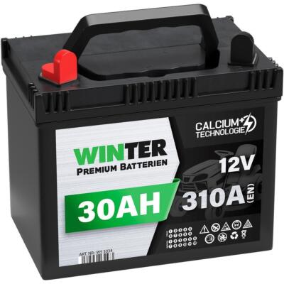 Rasentraktor Aufsitzmäher Batterie 30Ah Starterbatterie wartungsfrei +Pol Links