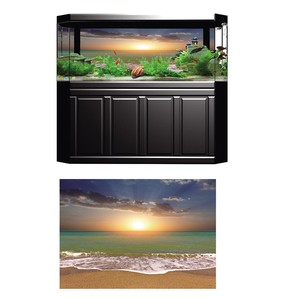 large aquarium backgrounds