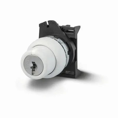 Giovenzana PSCR8D0NGL4X Key Selector Switch Black 0-right 2-position 90deg NEMA