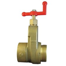 Moon American 734-2521 Hose Gate Valve, 2.5In Mxf Nst, Brass