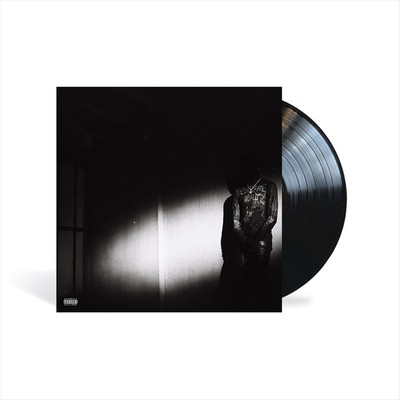 NO STYLIST NEW VINYL RECORD