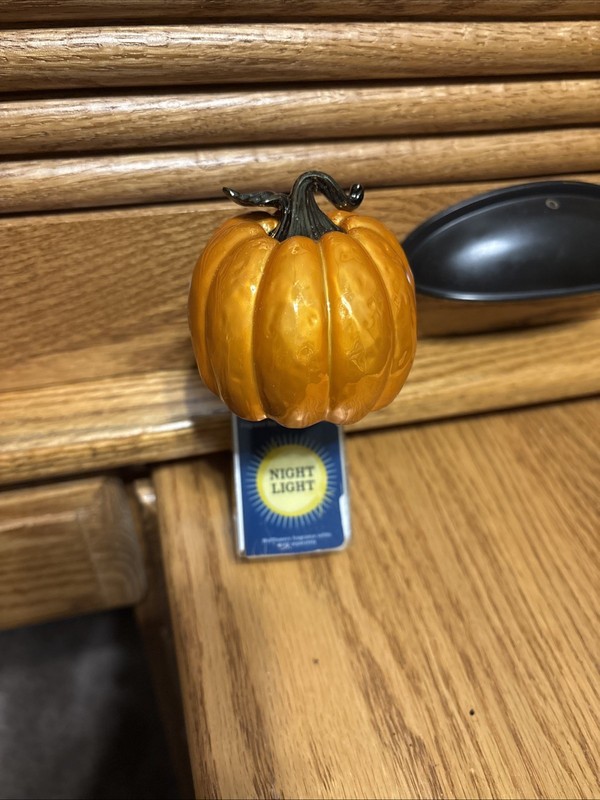 New Bath & Body Works Fall Pumpkin Wallflower Plug-In. Nightlight. ￼