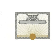 NEW Goes 47 Blank Stock Certificate Size 8-1/...