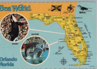 Sea World Orlando Florida w Map Whales Dolphins Multiview Continental Postcard