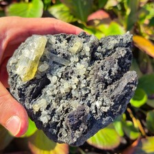 🔥Video🔥Top gelbe Anglesit auf Bleiglanz Galenit Touisitt Bou Beker Marokko 🔥