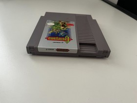 Castlevania f&uuml;r Nintendo NES 1988 Zustand: sehr gut
