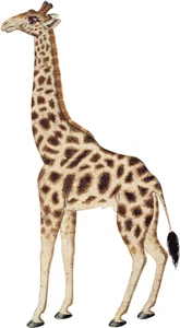 Giraffe Self Adhesive Vinyl Sticker
