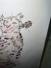 Bild 9 von 15