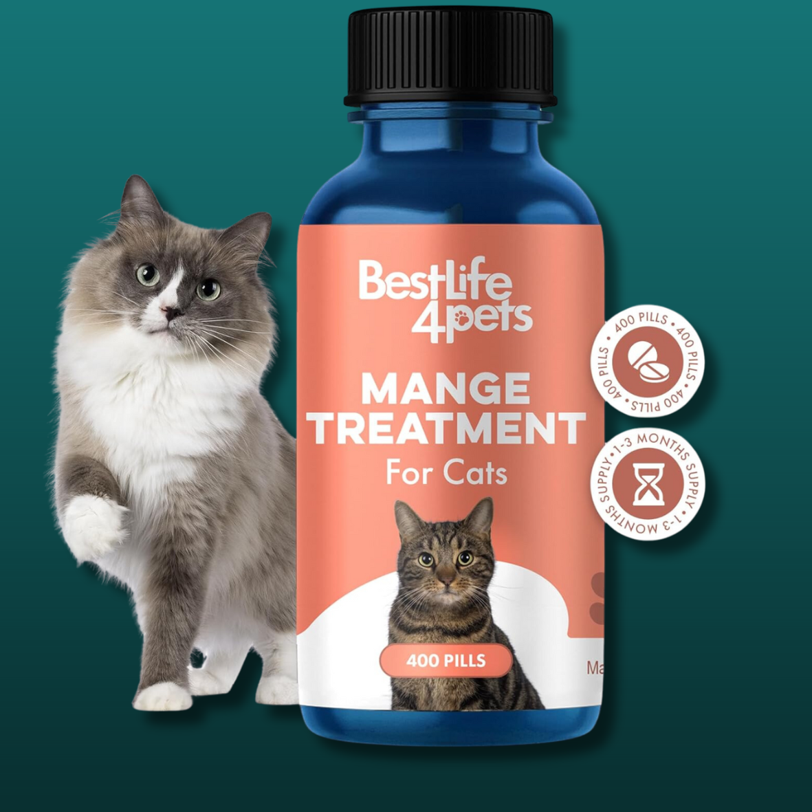 Mange Treatment for Cats - Main Image