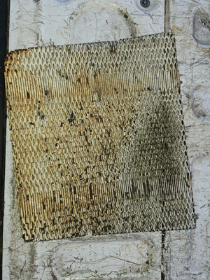 #ad Cub Cadet 106 126 127 107 147 73 Grill Screen $60.00