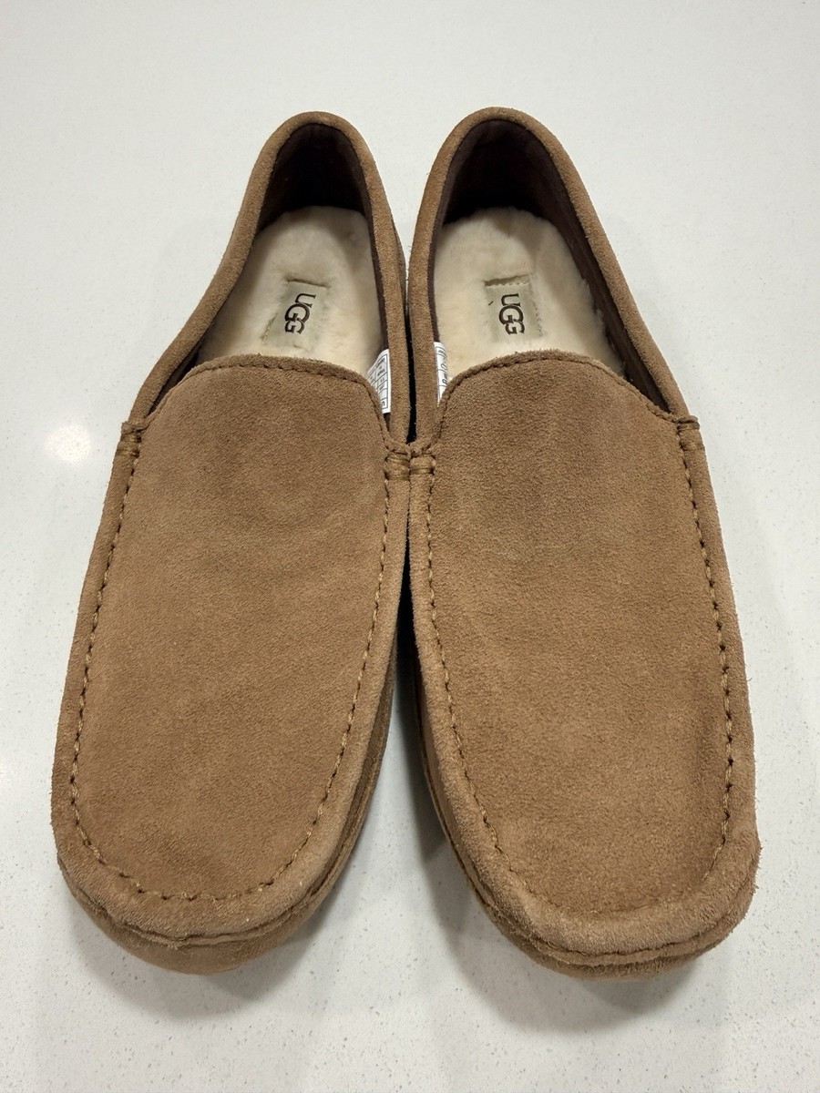 UGG Men