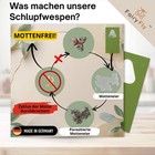 Bild 39 von 90
