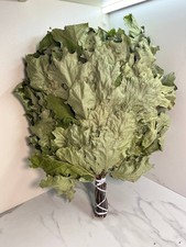 24 Oak brooms sauna banya venik Eiche whisks eco 2025 Ukrainian