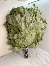 24 Oak brooms sauna banya venik Eiche whisks eco 2025 Ukrainian