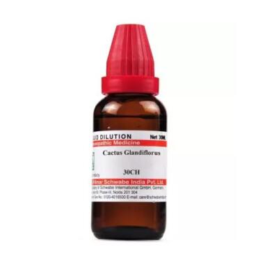 Willmar Schwabe India Homeopathic Cactus Glandiflorus Dilution 30ml