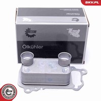 Esen SKV ÖLküHler MotoröL 31SKV225 FüR BMW 3Er Touring E91 X1 E84 E90 1Er E81 X3