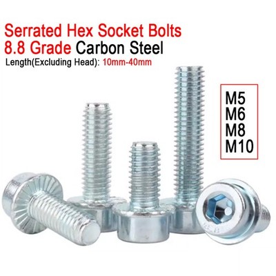 8.8 Grade Zinc Plated Serrated Hex Socket Bolts Cap Head Flange Screws M5M6M8M10