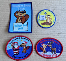 Hampshire Beaver Scouts Event Badges, 20 Years Paultons Park 2008, 2012, 2013.