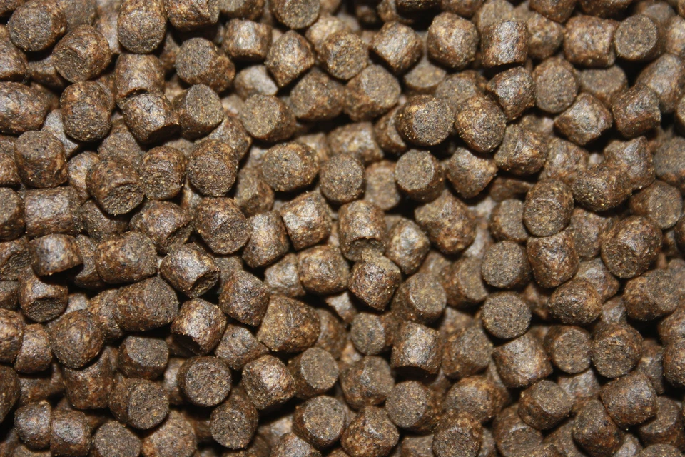 Koifutter Winterfutter Koi sinkend energiereich arktisch DeepWinter 5mm 5kgEimer - Bild 3 von 4