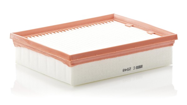 Mann-Filter C2548 Luftfilter FüR Laguna Latitude 2.0D 10.07- Renault-image