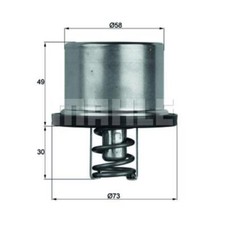 Thermostat BMW 315