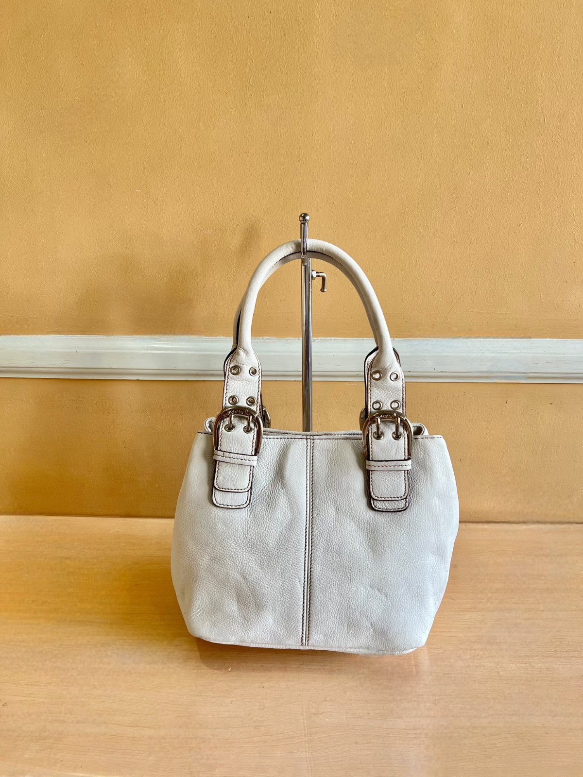 Tignanello Brand Hand or Shoulder Bag