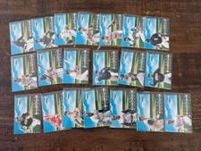 1999 PACIFIC INVINCIBLE SANDLOT HEROES COMPLETE INSERT SET #1-20(A) GRIFFEY
