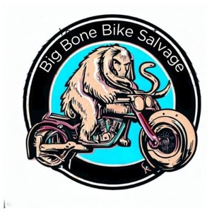 Big Bone Bike Salvage | eBay Stores