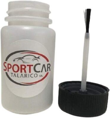 Touch-Up Paint Kit 50 Gr Lechler Color Citroen ETP Gris Cristal Met