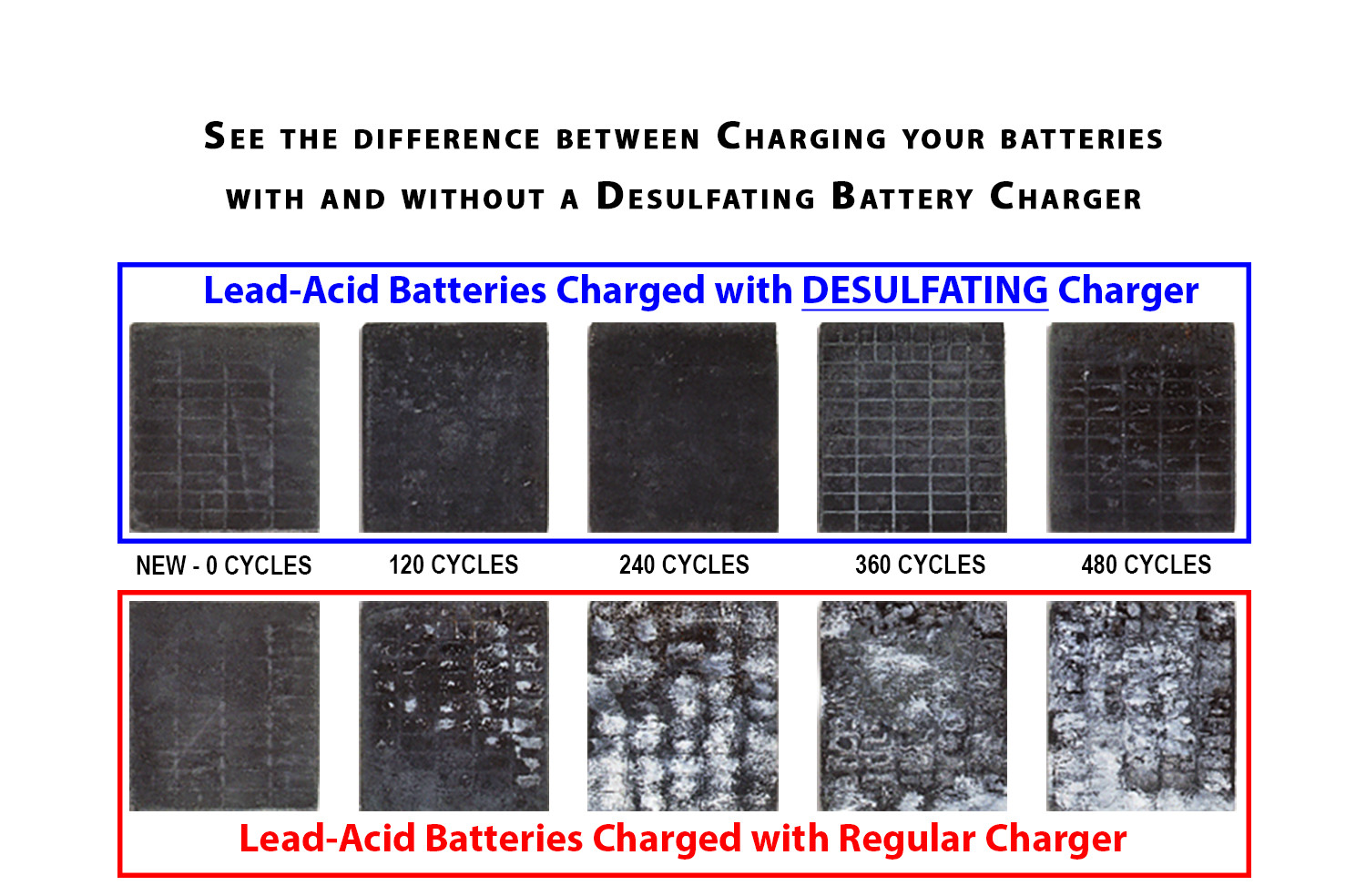 EZGO 36 Volt Powerwise TXT D Golf Cart Battery Charger Desulfator Reconditioner