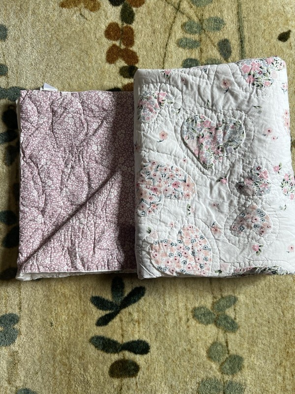 Pottery Barn Kids Floral Hearts Reversible Quilt Twin + Sham