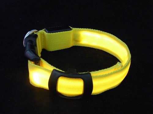 LED Glow Collar Dog Puppy Pet Flashing Light Safety Glow In The Dark FAST POST - Picture 41 of 81
