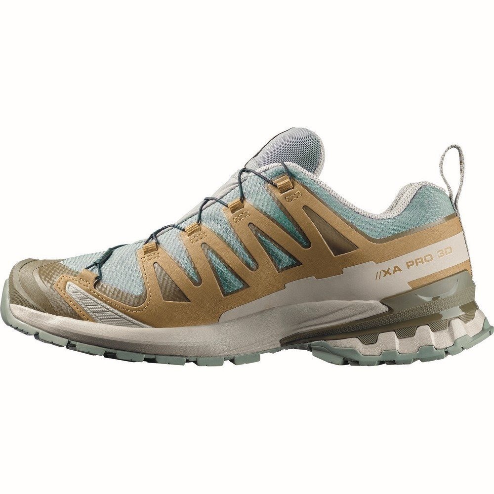 Salomon Xa Pro 3D V9 Gore-Tex Trail Running Gray L49229600 Men's