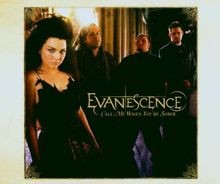 Call Me When YouRe Sober von Evanescence | CD | Zustand sehr gut