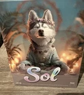 1oz Silver Bar Sol Yoga Dog, 142/999, The Holy Land Mint