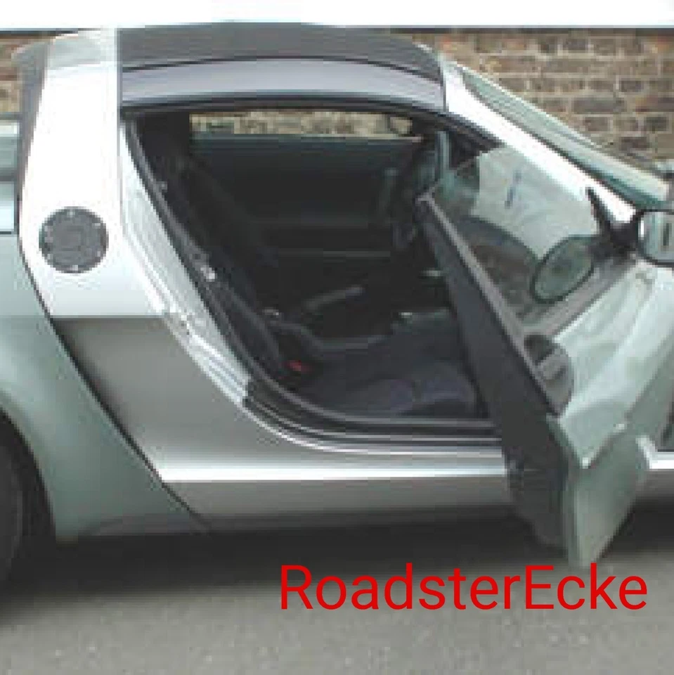 Umbrales De Entrada De Carbono Para Smart Roadster Y Roadster Coupe 452 - Imagen 4 de 4