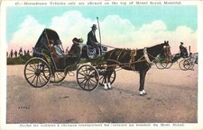 Montreal Canada Horsedrawn Vehicles on The Top of Mount Royal Vintage Postcard