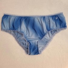 Rare VTG Aerie Cloud Dye Chiffon Ruffle Hipster Bikini Panty Size Lg Blue
