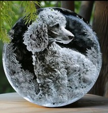 Grey Poodle Spring Aluminum Sign 8  x8  Wall Decor. Classy. Perfect In Your Home 