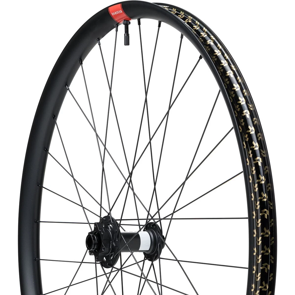 Dt Swiss 350 In Bicycle Wheels & Wheelsets for sale - eBay