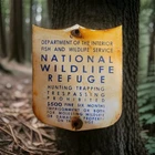 Vintage Wildlife Refuge Porcelain Sign US Department Of Agriculture USA Gas Oil