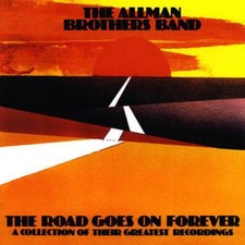 The Allman Brothers Band - The Road Goes On Forever (2xLP) (Near Mint (NM or M-)