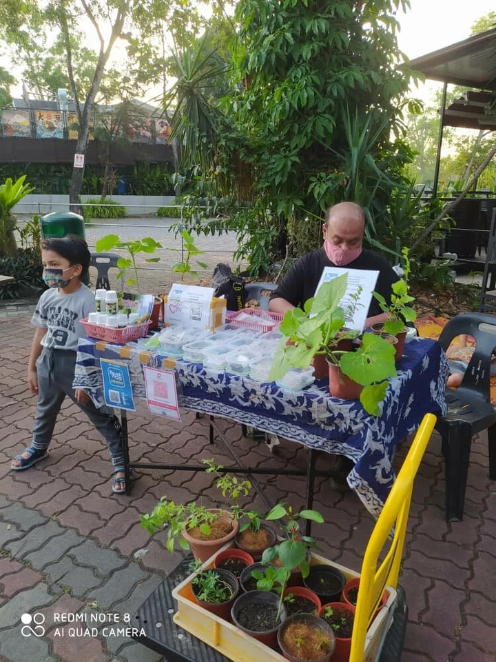 red spinach : true breed farm vegetable seeds - Image 3 of 3