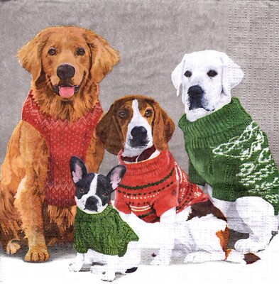 (2) Two Paper Lunch Napkins for Decoupage/Mixed Media - Sweater Dogs dog breeds